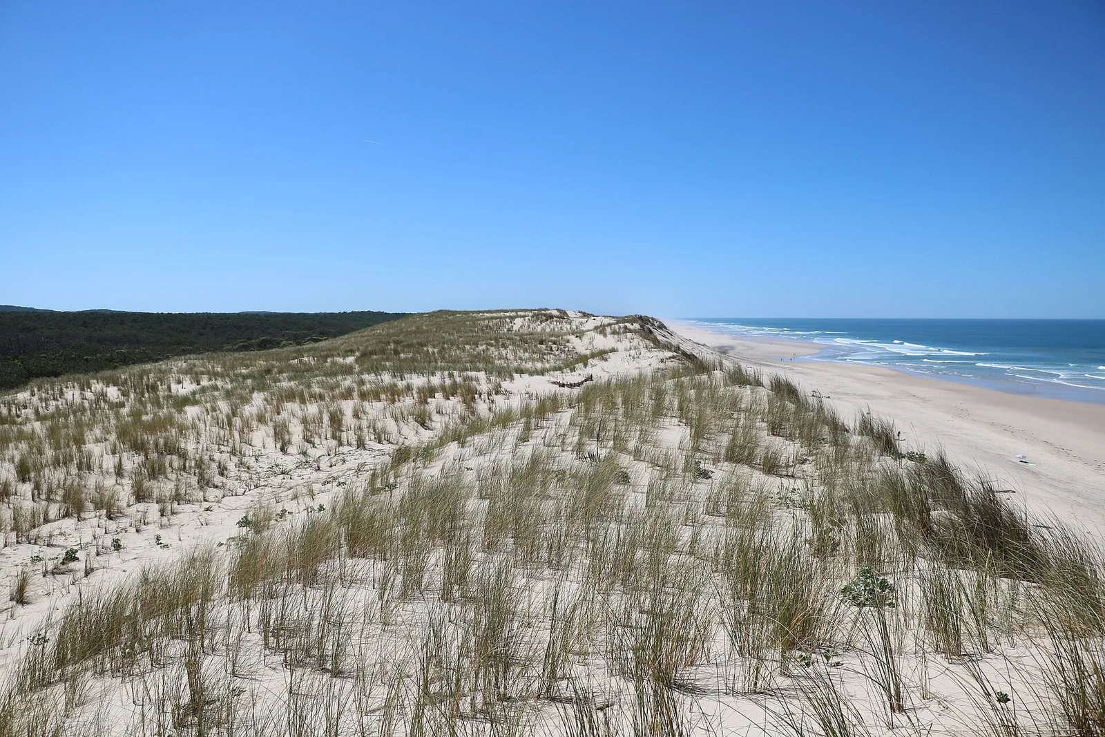 Hourtin-Plage