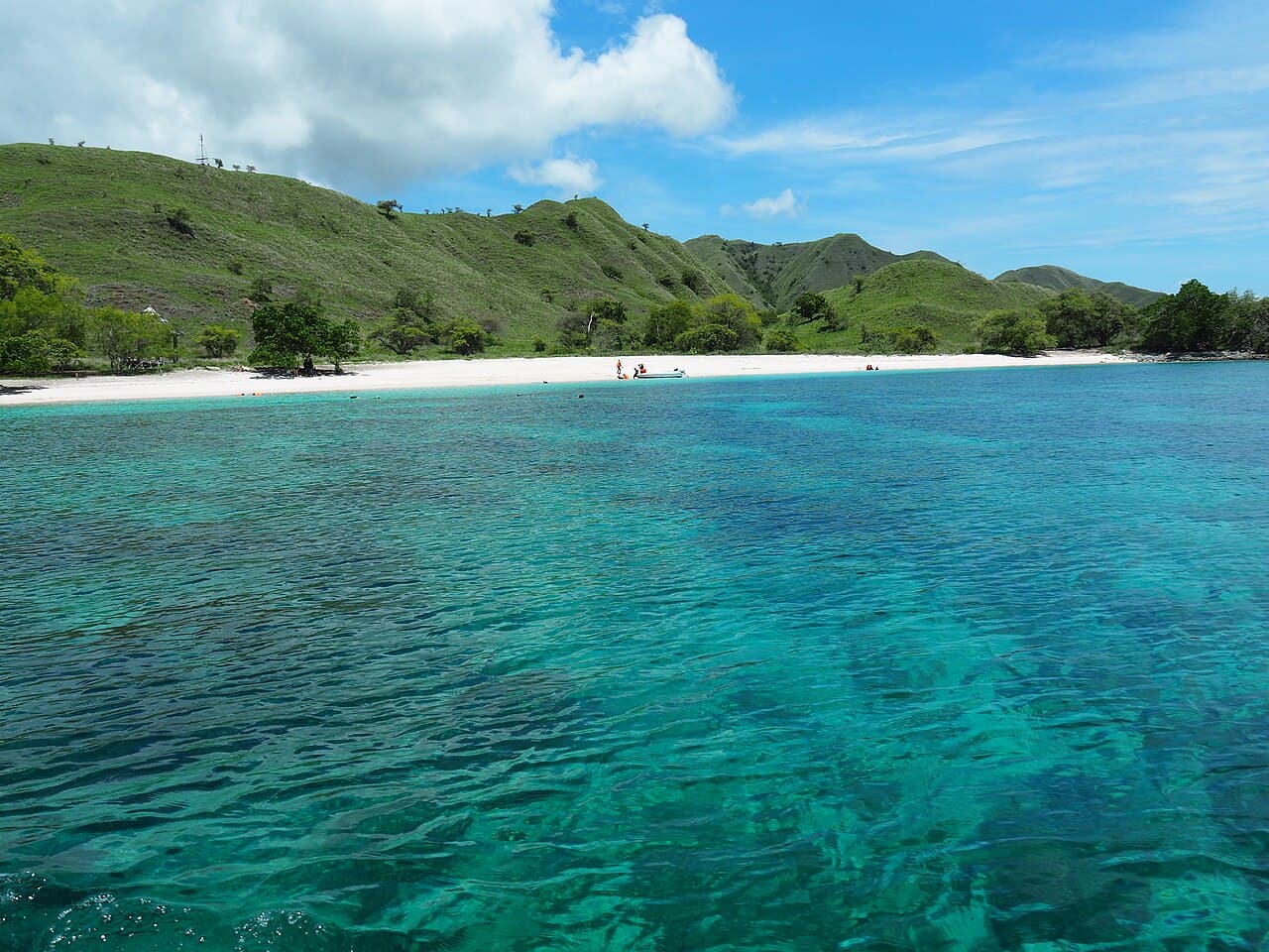 Komodo