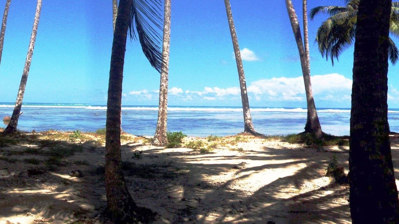 Lagundri Bay — Nias