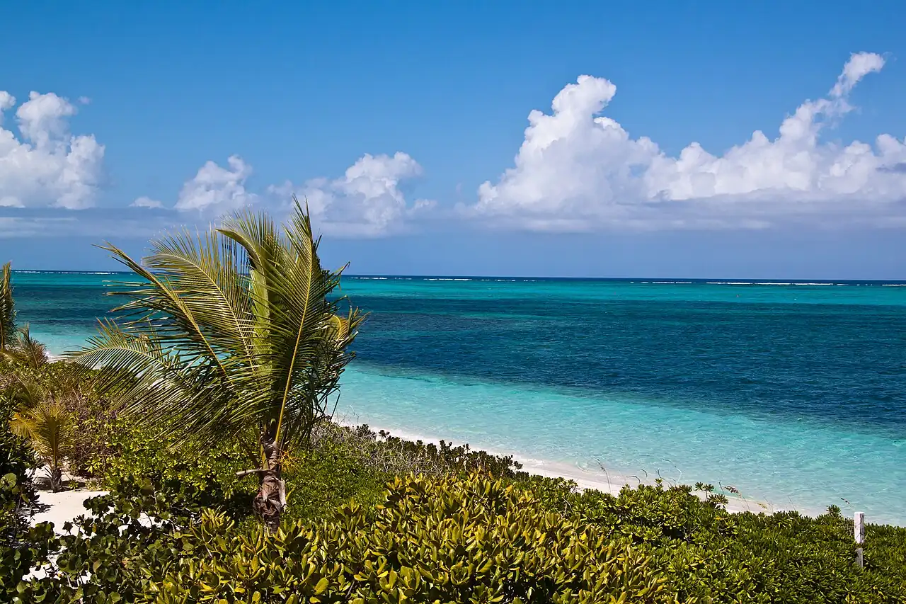 Smith’s Reef — Providenciales