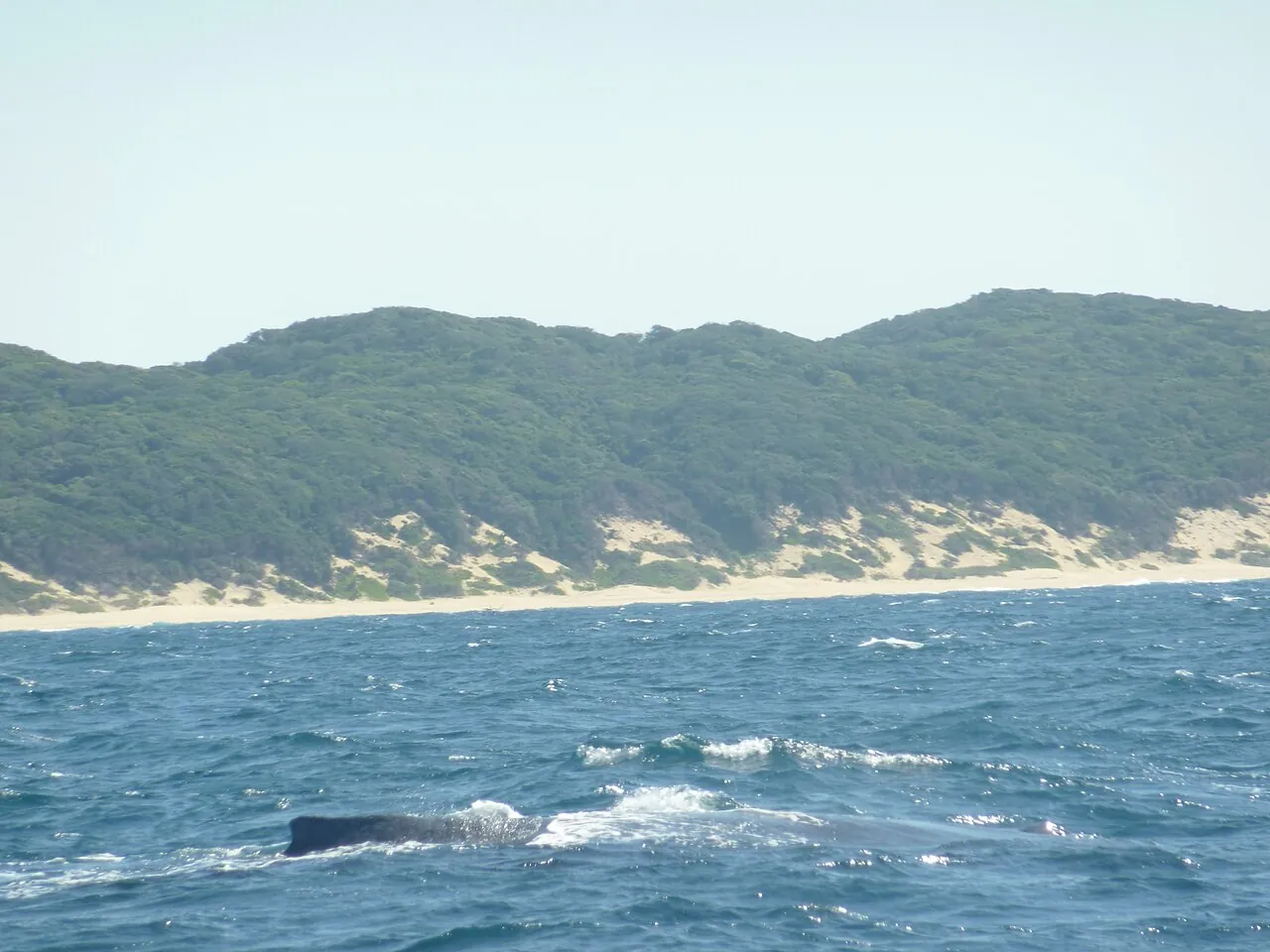 Sodwana Bay